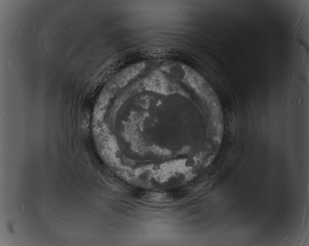 X0000103290507200809261253