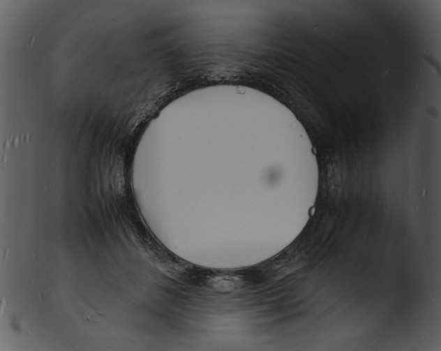 X0000103290508200809261253