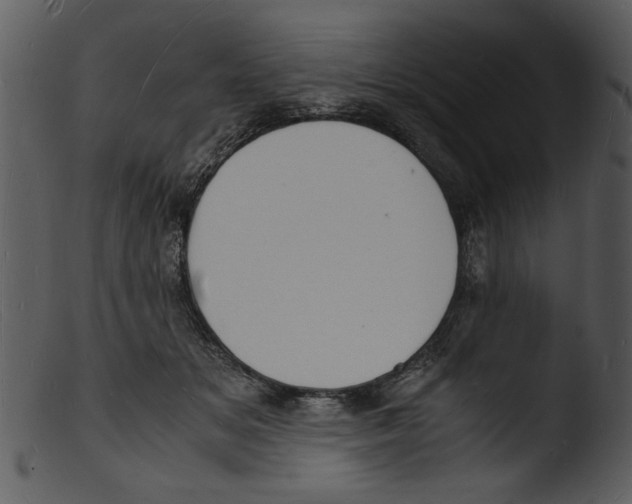 X0000103290509200809261253