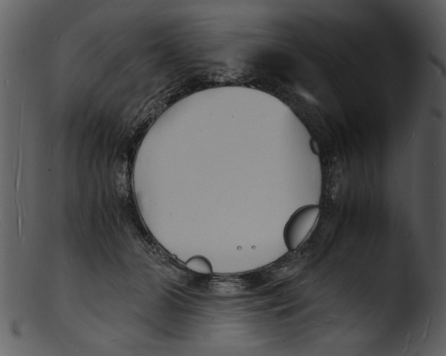 X0000103290510200809261252