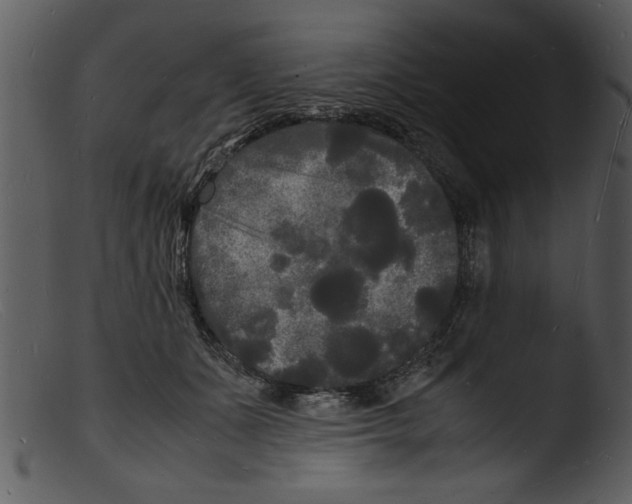 X0000103290511200809261252