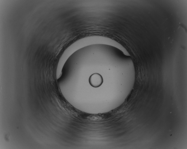 X0000103290512200809261252