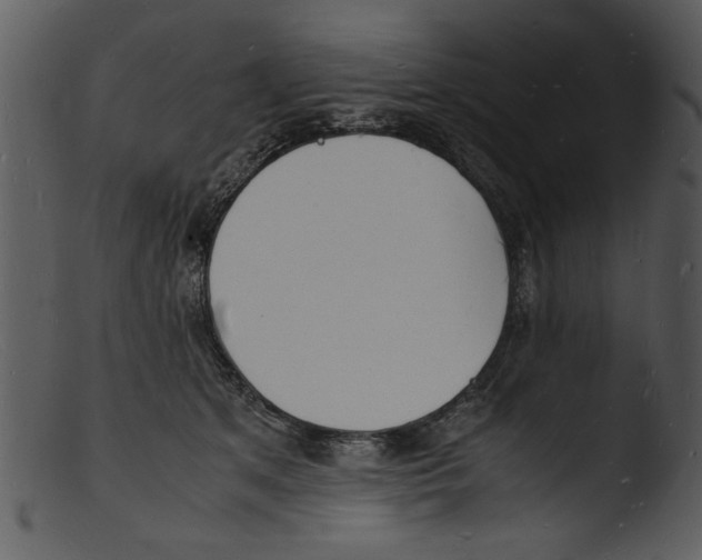 X0000103290513200809261252