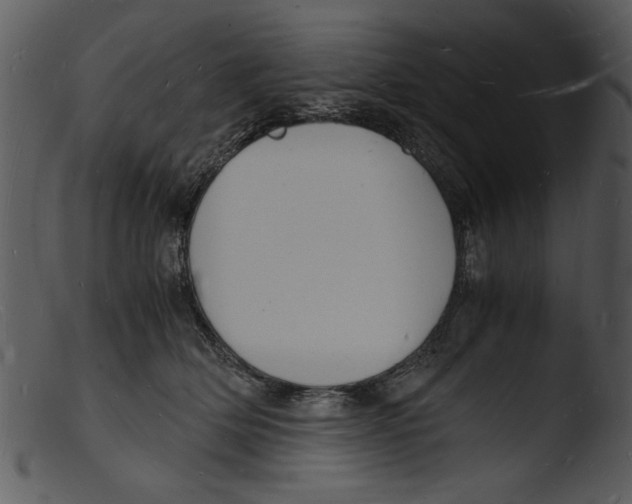 X0000103290514200809261252