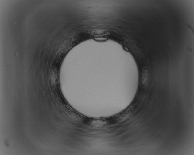 X0000103290515200809261252