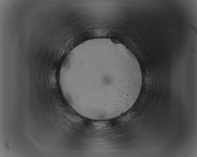 X0000103290516200809261252