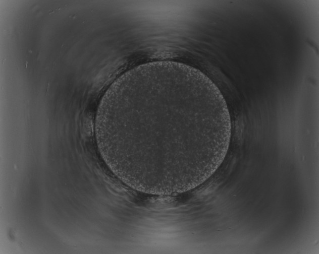 X0000103290517200809261252