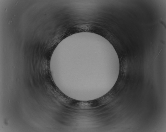X0000103290518200809261252