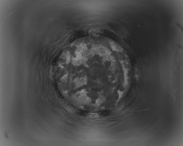 X0000103290519200809261252