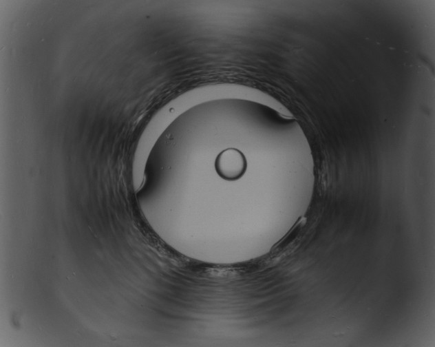 X0000103290520200809261252