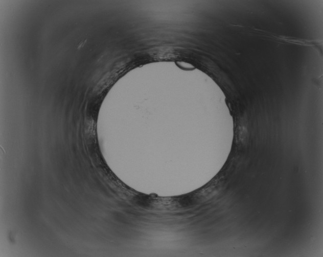 X0000103290521200809261252