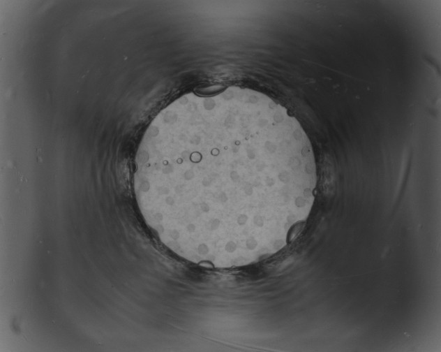 X0000103290523200809261252
