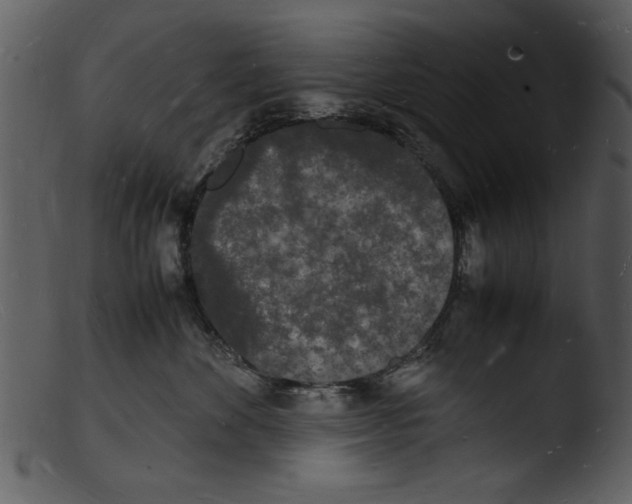 X0000103290524200809261252