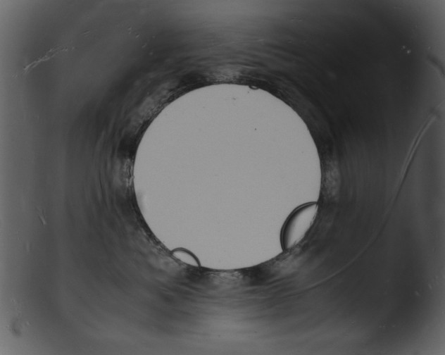 X0000103290525200809261252