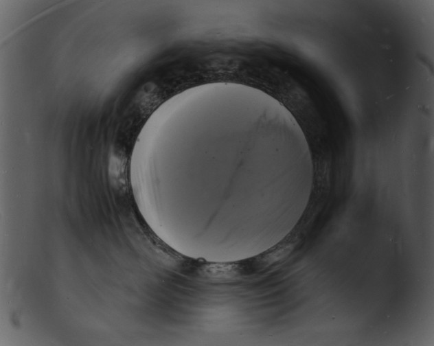X0000103290526200809261252