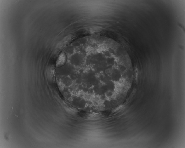 X0000103290527200809261252