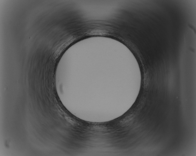 X0000103290529200809261252