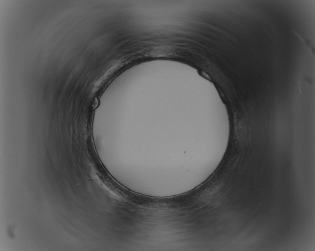 X0000103290530200809261252