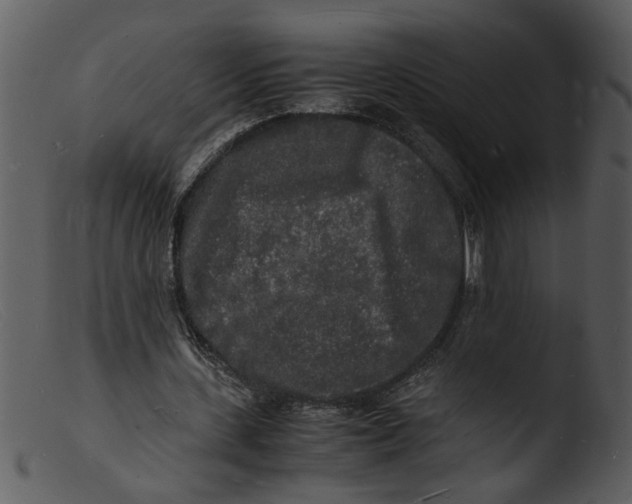 X0000103290531200809261252