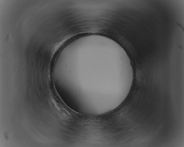 X0000103290532200809261252