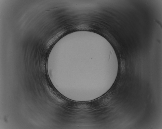 X0000103290533200809261252