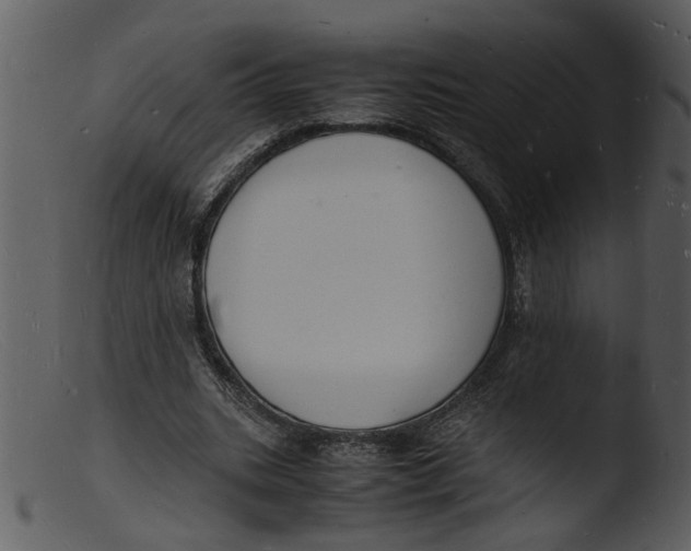 X0000103290535200809261252