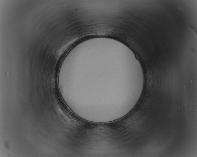 X0000103290536200809261252