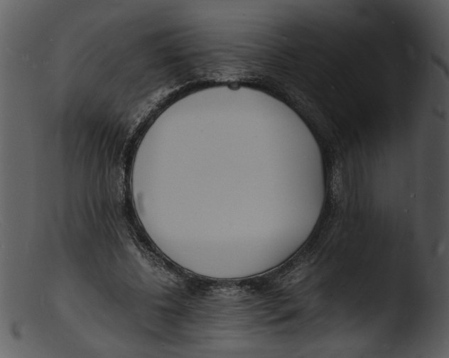 X0000103290540200809261252