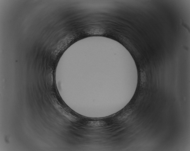 X0000103290541200809261252