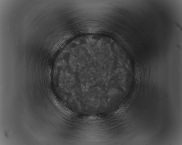 X0000103290542200809261252