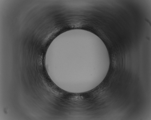 X0000103290543200809261252