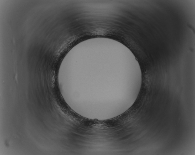 X0000103290544200809261252