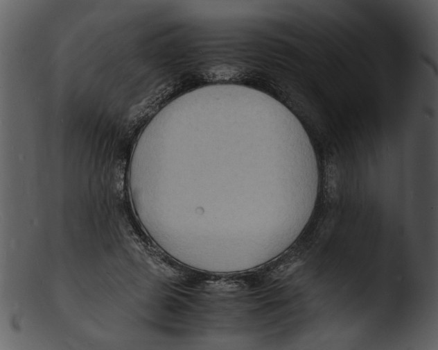 X0000103290545200809261252