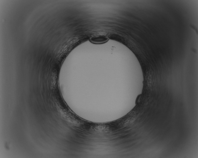 X0000103290546200809261252