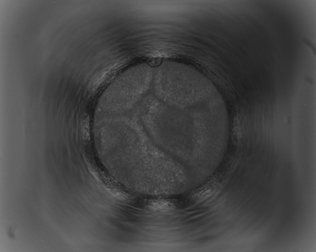X0000103290547200809261252
