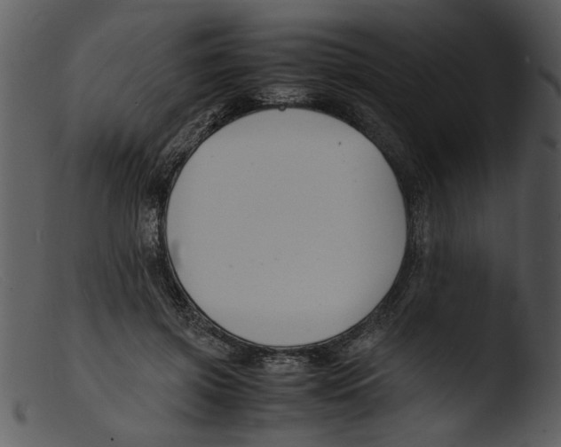 X0000103290549200809261252