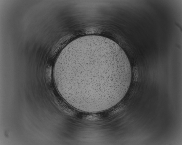 X0000103290550200809261252