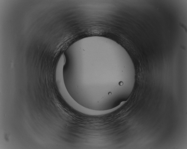 X0000103290552200809261252