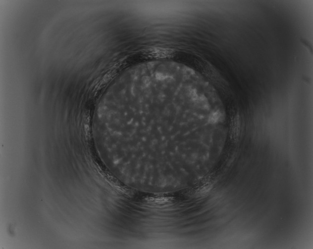 X0000103290553200809261252