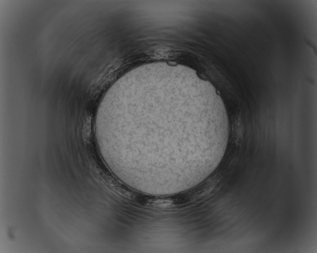 X0000103290554200809261252