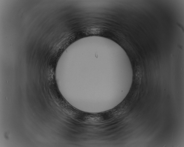 X0000103290555200809261252