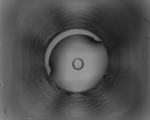 X0000103290556200809261252