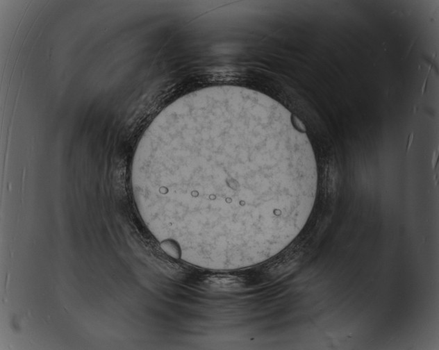 X0000103290557200809261252