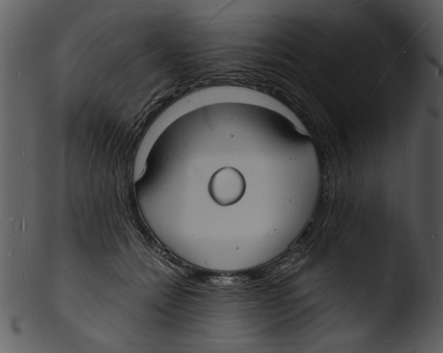 X0000103290558200809261252