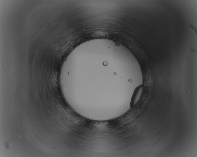 X0000103290560200809261252