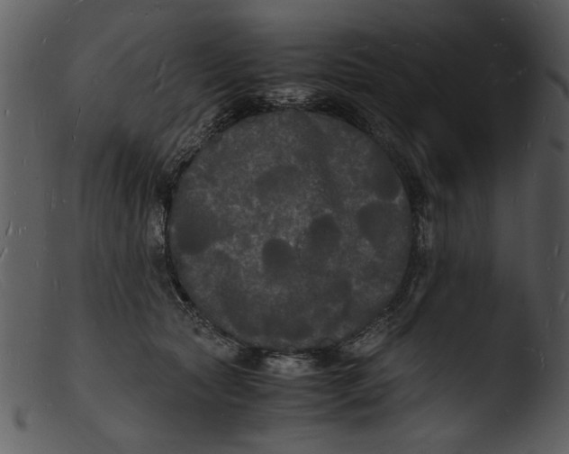 X0000103290561200809261252