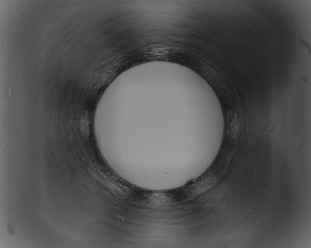 X0000103290562200809261252