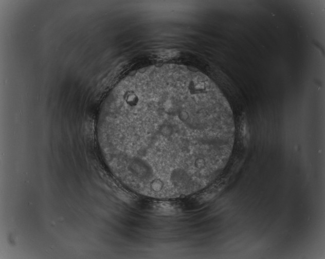 X0000103290565200809261252