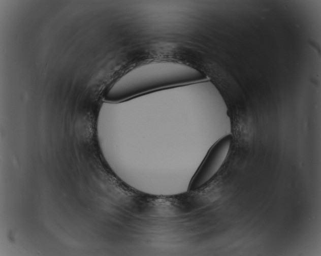 X0000103290566200809261252