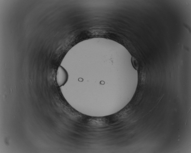X0000103290567200809261252